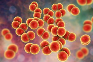 Small urinogenital infections panels